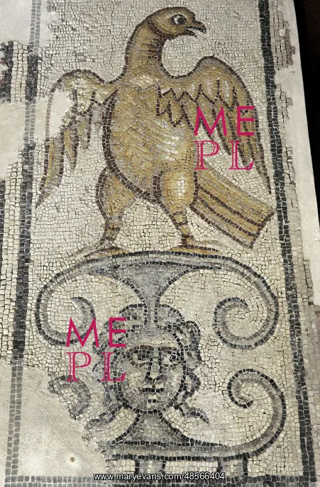 : Eagle and Medusa Head. Mosaic floor. Synagogue at Yafia, Low : Eagle and Medusa Head. Mosaic floor. Synagogue at Yafia, Low