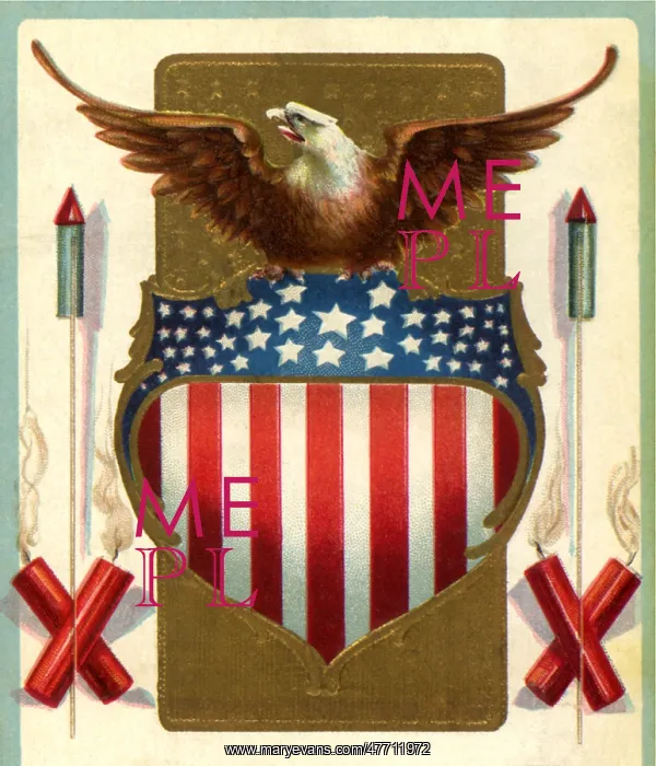  : Eagle Perched on the Stars and Stripes