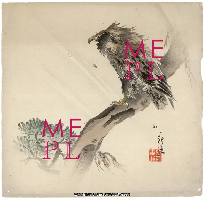 : Eagle perched in a storm : Eagle perched in a storm