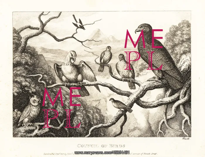 : An eagle presides over a court of birds in a tree : An eagle presides over a court of birds in a tree