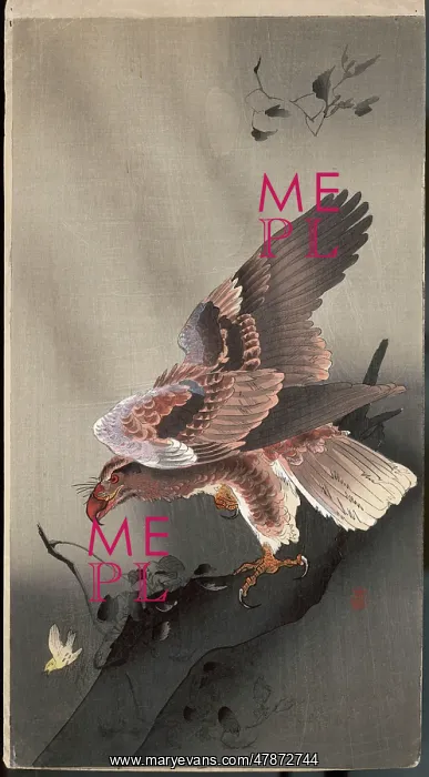 : Eagle ready to pounce : Eagle ready to pounce