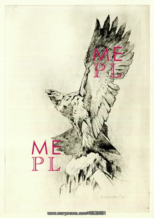  : Eagle on a rock with wings outspread, by Harry Rountree