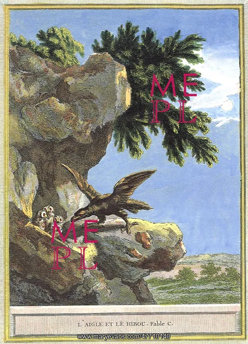  : Eagle with Young Owls