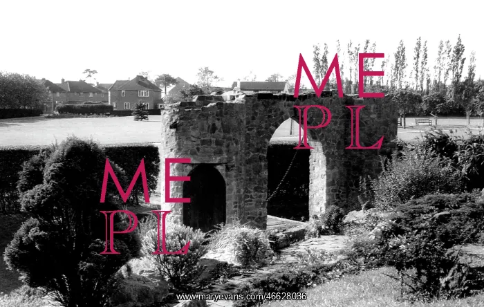  : Earl Shilton, Castle Mound and Park c1965