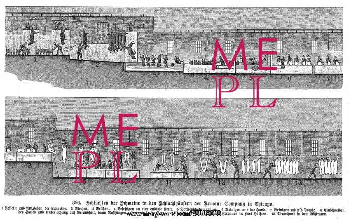 : One of the earliest production lines: Armour : One of the earliest production lines: Armour