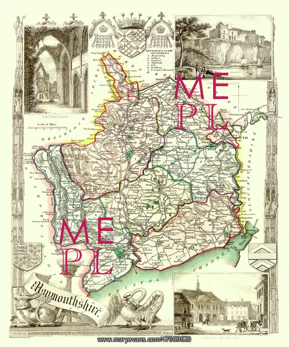 : Early 19th Century County map of Devonshire, England : Early 19th Century County map of Devonshire, England