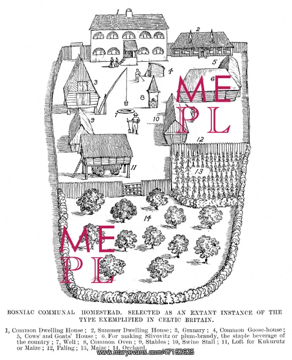  : EARLY BRITISH HOMESTEAD