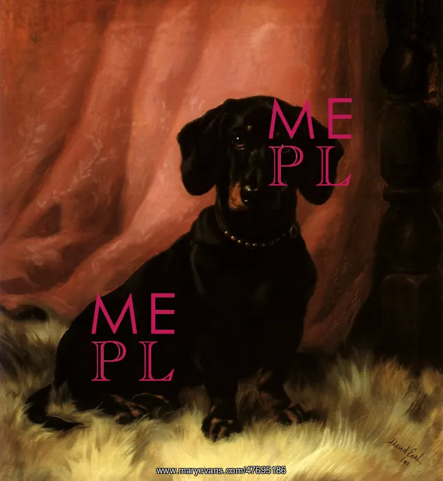  : Early Dachshund