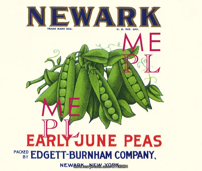  : Early June Peas