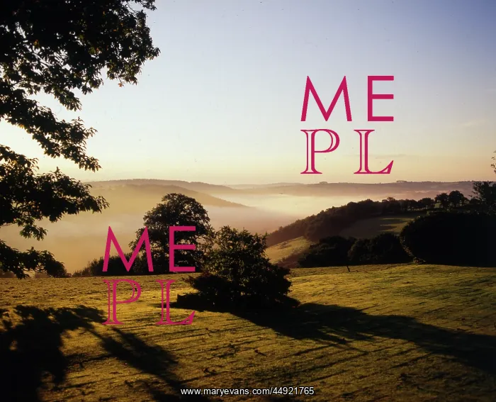 : Early morning mist, Tamar Valley, Cornwall : Early morning mist, Tamar Valley, Cornwall
