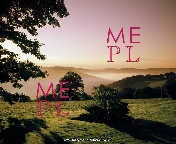 : Early morning mist, Tamar Valley, Cornwall : Early morning mist, Tamar Valley, Cornwall