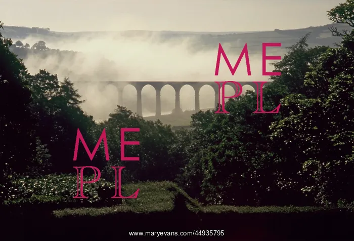 : Early morning mists, River Tamar valley, Cornwall : Early morning mists, River Tamar valley, Cornwall