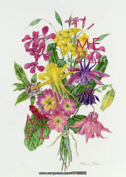 : Early Summer Tussie Mussie (or nosegay) : Early Summer Tussie Mussie (or nosegay)