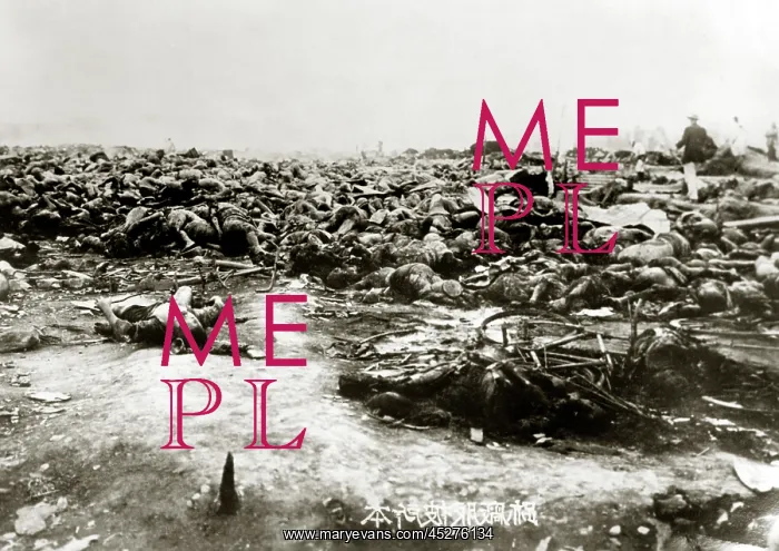 : Earthquake Japan 1923 : Earthquake Japan 1923