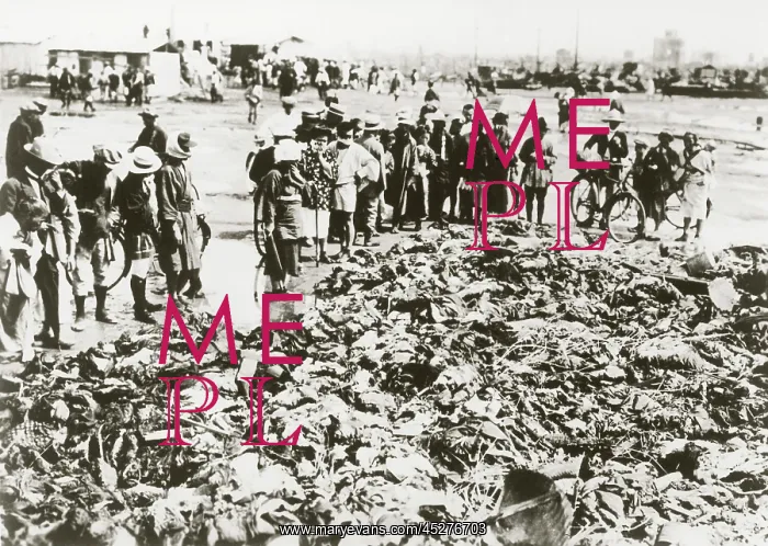 : Earthquake Japan 1923 : Earthquake Japan 1923