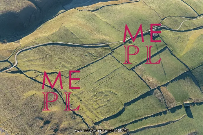 : Earthwork remains of probable Iron Age hut circle settlement : Earthwork remains of probable Iron Age hut circle settlement