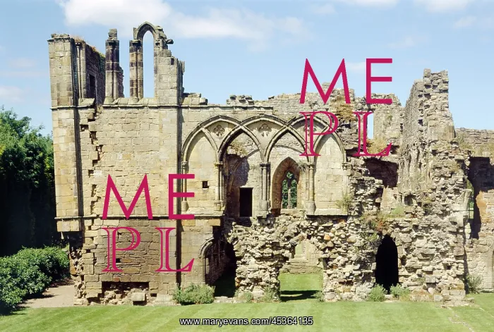 : Easby Abbey : Easby Abbey