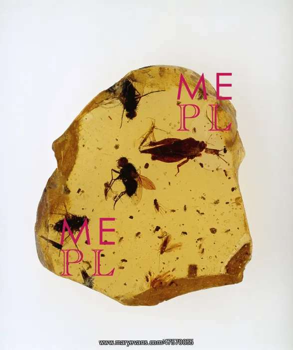: East African copal : East African copal