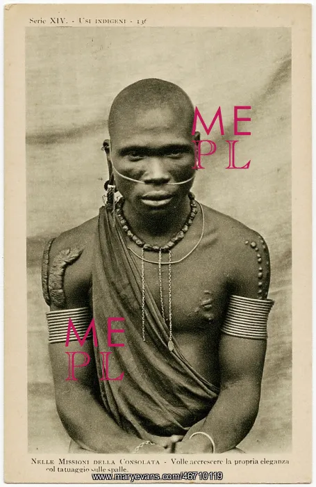 : East African Tribesman - Extensive Scarification, Nose Chain : East African Tribesman - Extensive Scarification, Nose Chain