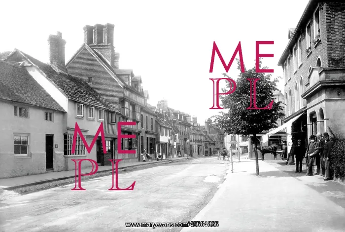  : East Grinstead, High Street 1890