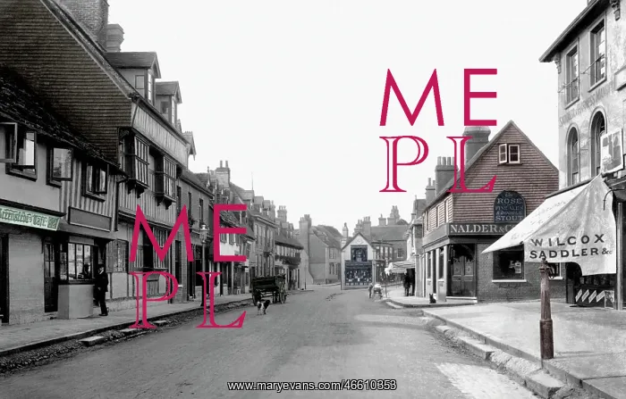  : East Grinstead, High Street 1904
