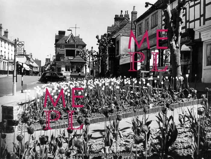  : EAST GRINSTEAD / SUSSEX