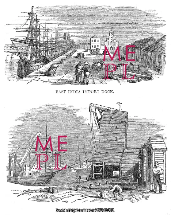  : East India Import and Export Docks, London
