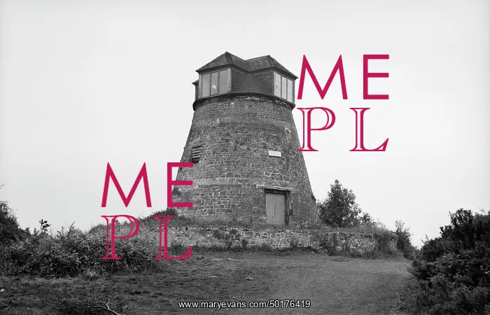 : East Knoyle Tower Mill, Windmill Hill, East Knoyle, Wilts : East Knoyle Tower Mill, Windmill Hill, East Knoyle, Wilts