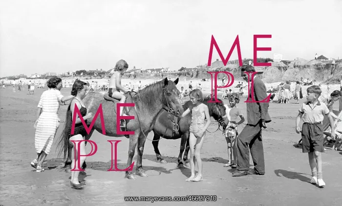  : East Wittering, Ponies on the Beach c1955