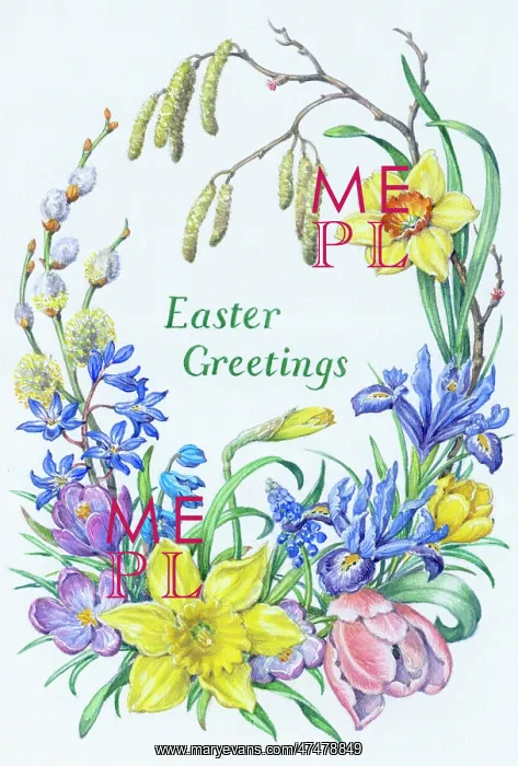 : Easter border of Daffodil, Tulip, Iris, Crocus etc : Easter border of Daffodil, Tulip, Iris, Crocus etc