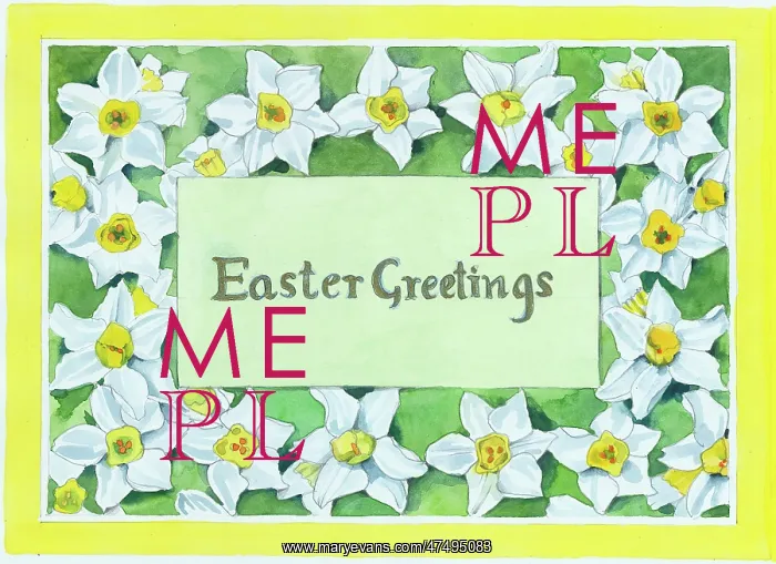 : Easter border of Daffodils : Easter border of Daffodils