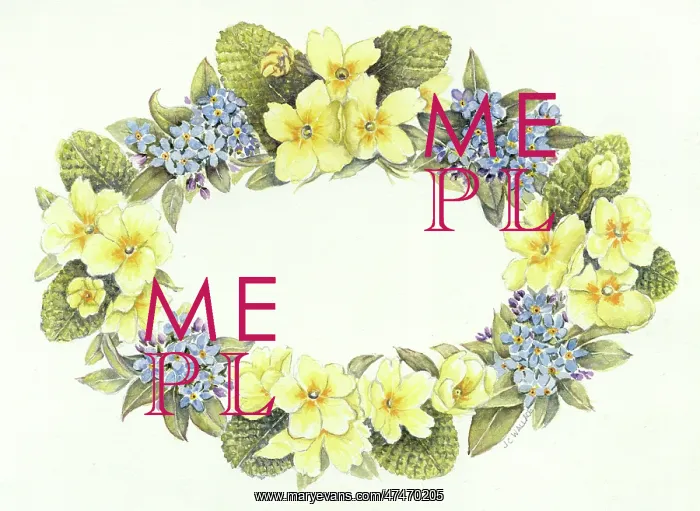 : Easter border with primroses and forget-me-nots