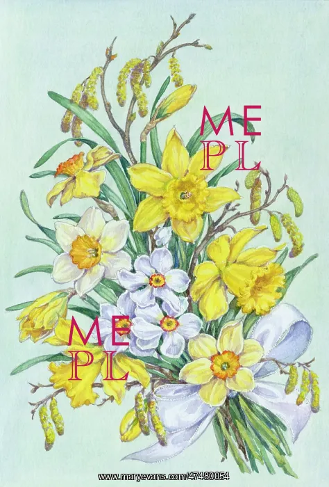 : Easter Bouquet of Daffodils and Narcissi Bow : Easter Bouquet of Daffodils and Narcissi Bow