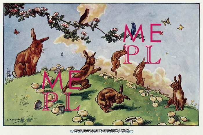 : Easter Bunnies : Easter Bunnies