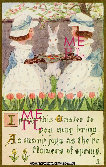 : Easter bunny : Easter bunny