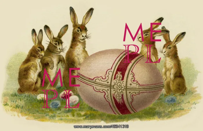 : Easter bunny : Easter bunny