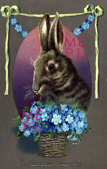 : Easter bunny : Easter bunny
