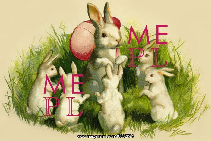  : Easter bunny