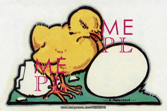  : Easter Card design, chick hatched from an egg
