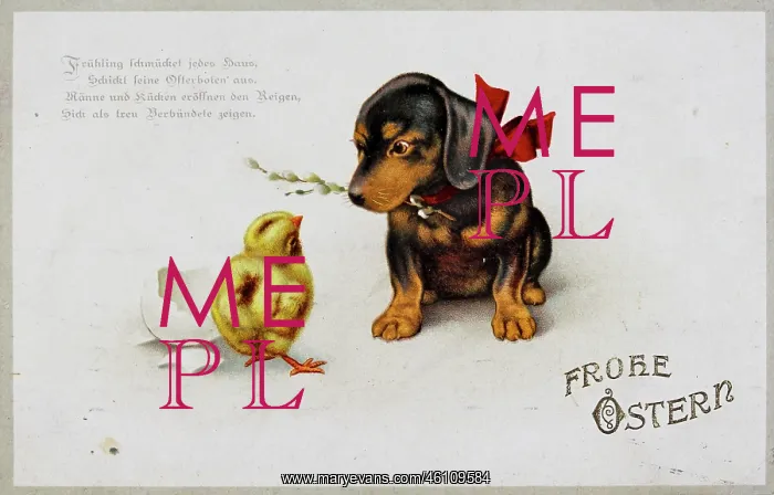 : Easter card. 'Happy Easter! ' Dachshund