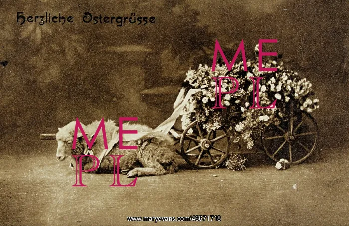 : Easter card. 'Happy Easter! ' Photographie : Easter card. 'Happy Easter! ' Photographie