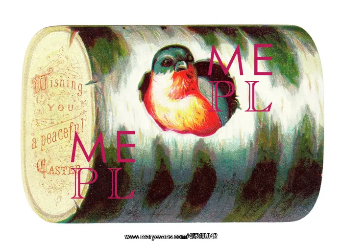 : Easter card in the shape of a log with robin : Easter card in the shape of a log with robin