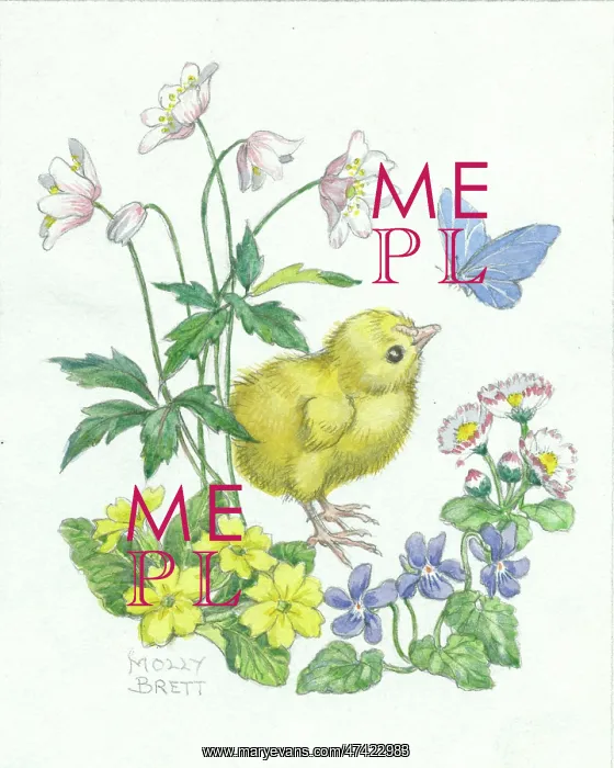 : Easter chick by Molly Brett : Easter chick by Molly Brett