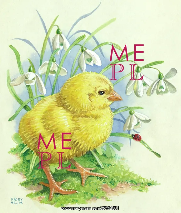 : Easter Chick - with snowdrops and a ladybird : Easter Chick - with snowdrops and a ladybird