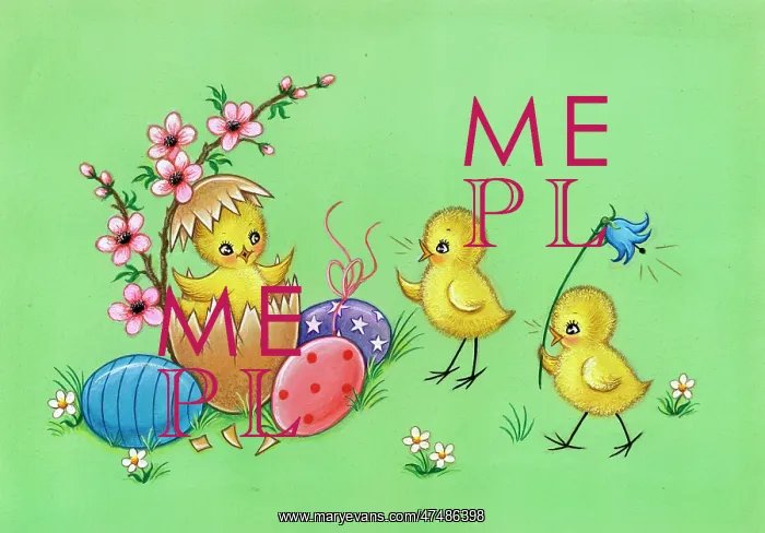  : Easter Chicks