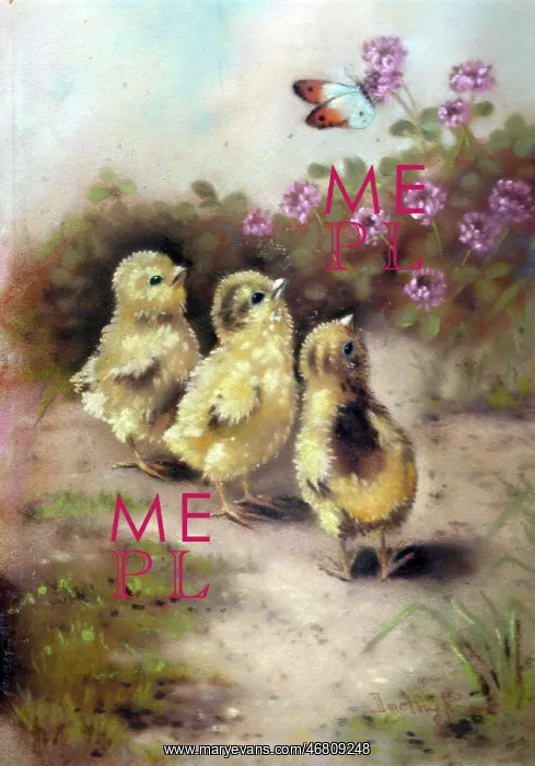 : Easter chicks with butterfly : Easter chicks with butterfly