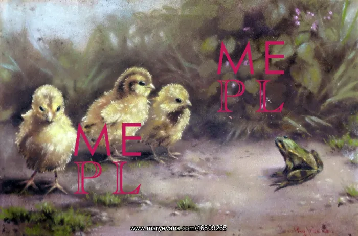 : Easter chicks with frog : Easter chicks with frog