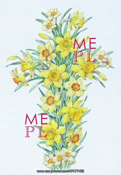  : Easter Floral Cross of Daffodils and Narcissi