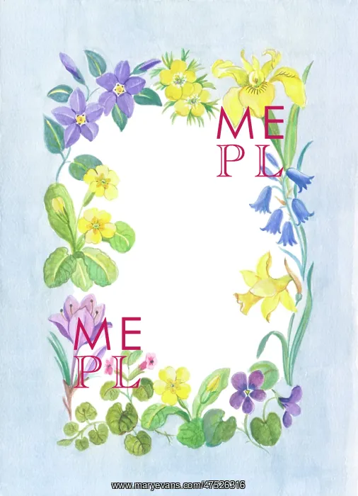 : Easter Flower Border - daffodils, crocus etc : Easter Flower Border - daffodils, crocus etc