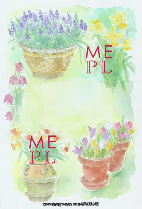  : Easter Flower Pots - with daffodils and crocuses etc